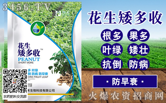 河南省駐馬店今日花價(jià)格行情動(dòng)態(tài)2019-8-7 河南省駐馬店今日花價(jià)格行情動(dòng)態(tài)2019-8-7