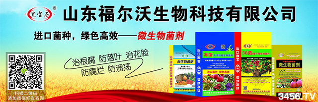 攜手并進(jìn),共贏商機(jī)!恭喜山東福爾沃生物再度續(xù)約火爆農(nóng)資網(wǎng)! 攜手并進(jìn),共贏商機(jī)!恭喜山東福爾沃生物再度續(xù)約火爆農(nóng)資網(wǎng)!