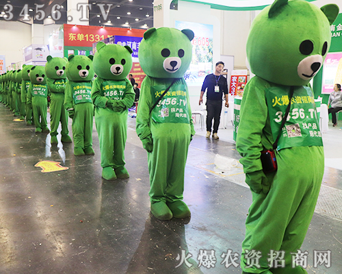 ̏݁ucs2019ʡֲ