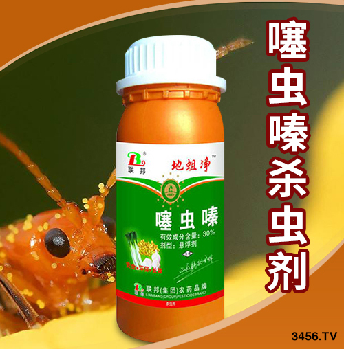 2019r(nng)ˎI(y)10Ʒаҕr(nng)ˎxã