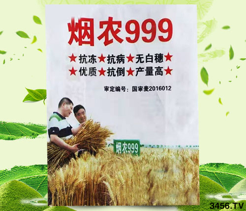 小麥?zhǔn)裁磿r(shí)候冬灌?必須準(zhǔn)確判斷!該灌不灌,必有后患! 小麥?zhǔn)裁磿r(shí)候冬灌?必須準(zhǔn)確判斷!該灌不灌,必有后患!