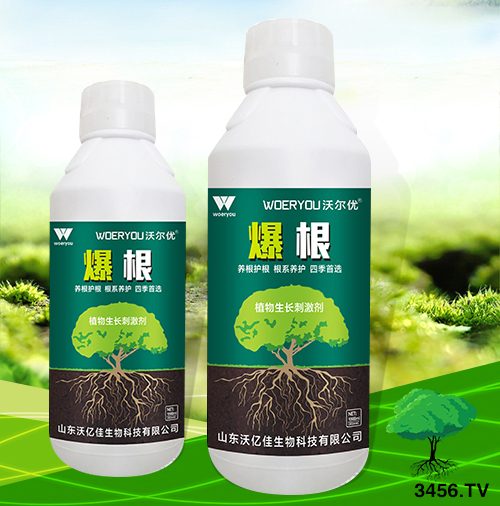 ش_(qun)Y(ji)r(nng)˳һa(b)5f(wn)˳һ800ԪxĂ(g)