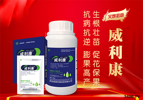 ش_(qun)Y(ji)r(nng)˳һa(b)5f(wn)˳һ800ԪxĂ(g)