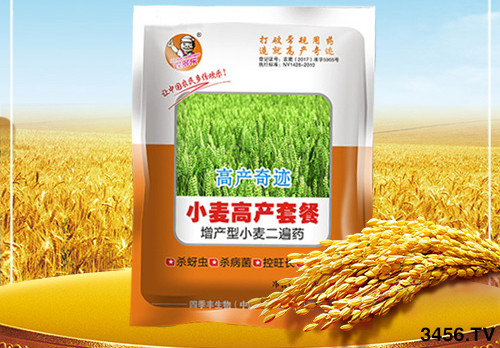 冬小麥為啥一片黃,一片青?原因已找到,快點來對照! 冬小麥為啥一片黃,一片青?原因已找到,快點來對照!