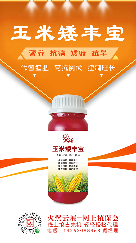 2020年5月20日河南地區(qū)玉米價(jià)格收購報(bào)價(jià) 2020年5月20日河南地區(qū)玉米價(jià)格收購報(bào)價(jià)