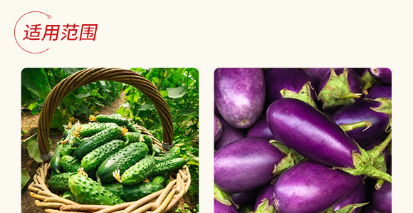 農(nóng)用微生物菌劑(一號(hào)菌)-五道豐 農(nóng)用微生物菌劑(一號(hào)菌)-五道豐