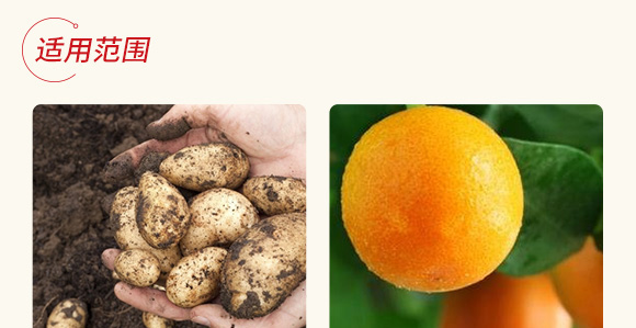 高抗1號菌(農(nóng)用微生物菌劑)-五道豐 高抗1號菌(農(nóng)用微生物菌劑)-五道豐