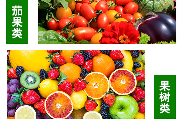 鍖椾含涔愮娉扮敓鐗╂妧鏈湁闄愬叕鍙鎬駭鍝佽鎯呴〉2_06.jpg 鍖椾含涔愮娉扮敓鐗╂妧鏈湁闄愬叕鍙鎬駭鍝佽鎯呴〉2_06.jpg