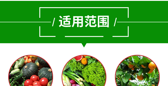 復合肥料27-13-10-土蜘蛛-根力寶 復合肥料27-13-10-土蜘蛛-根力寶