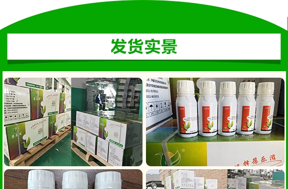 霜霉·嗯霉靈-艾葆儂-中植科華 霜霉·嗯霉靈-艾葆儂-中植科華