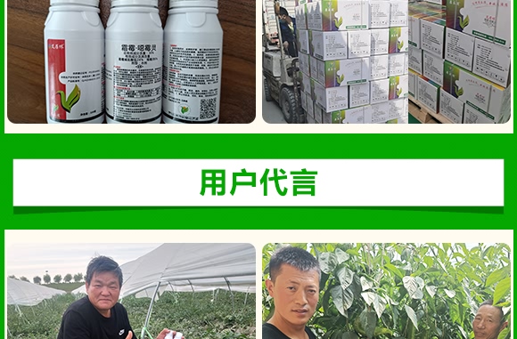 霜霉·嗯霉靈-艾葆儂-中植科華 霜霉·嗯霉靈-艾葆儂-中植科華