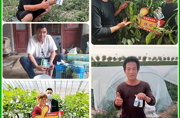 霜霉·嗯霉靈-艾葆儂-中植科華 霜霉·嗯霉靈-艾葆儂-中植科華