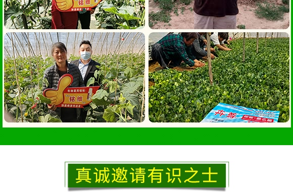 霜霉·嗯霉靈-艾葆儂-中植科華 霜霉·嗯霉靈-艾葆儂-中植科華