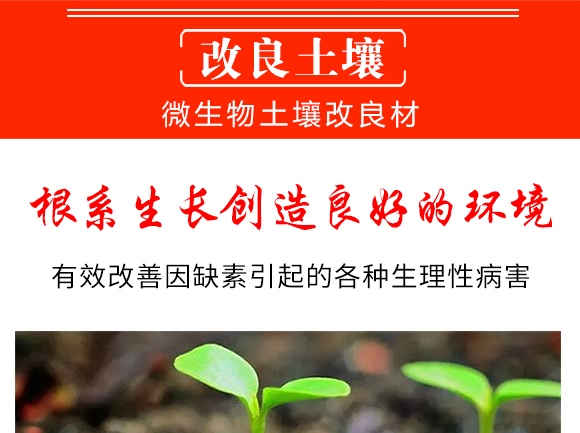 微生物土壤改良材-九星惠農(nóng) 微生物土壤改良材-九星惠農(nóng)