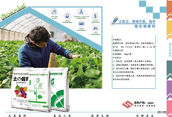 微生物土壤改良材-九星惠農(nóng) 微生物土壤改良材-九星惠農(nóng)