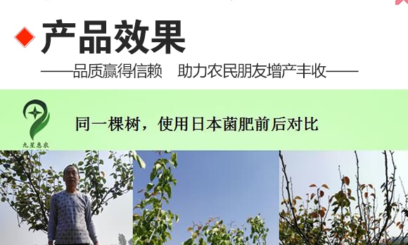 微生物土壤改良材-九星惠農(nóng) 微生物土壤改良材-九星惠農(nóng)