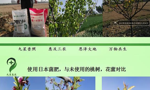 微生物土壤改良材-九星惠農(nóng) 微生物土壤改良材-九星惠農(nóng)