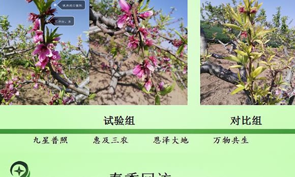 微生物土壤改良材-九星惠農(nóng) 微生物土壤改良材-九星惠農(nóng)