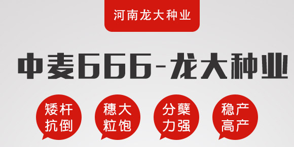 中麥666-麥種貴族-龍大種業(yè) 中麥666-麥種貴族-龍大種業(yè)