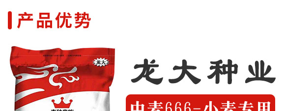 中麥666-麥種貴族-龍大種業(yè) 中麥666-麥種貴族-龍大種業(yè)