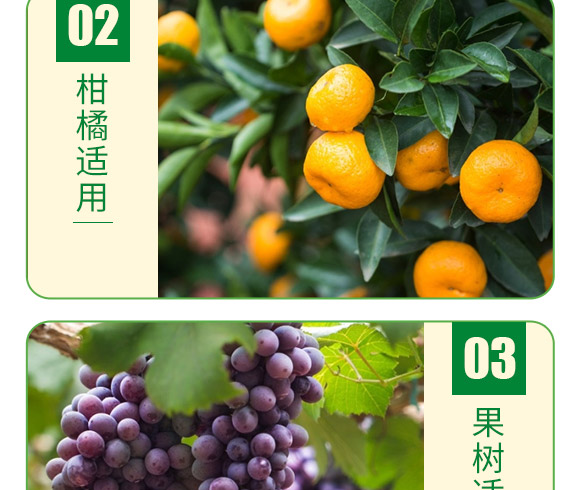 含腐殖酸水溶肥料-葉菲聚能氮-德邦葉菲 含腐殖酸水溶肥料-葉菲聚能氮-德邦葉菲