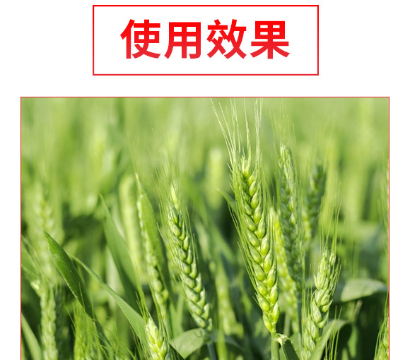 礦源黃腐酸生根肥-黑金旺-復(fù)寶作物 礦源黃腐酸生根肥-黑金旺-復(fù)寶作物