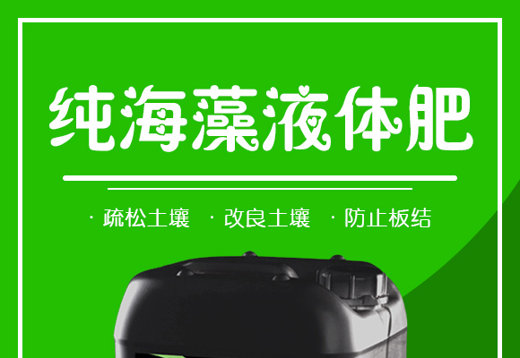 灞變笢嫻蜂箣鏄熻繘鍑哄彛鏈夐檺鍏徃璇︽儏欏?_01.jpg 灞變笢嫻蜂箣鏄熻繘鍑哄彛鏈夐檺鍏徃璇︽儏欏?_01.jpg