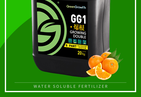 灞變笢嫻蜂箣鏄熻繘鍑哄彛鏈夐檺鍏徃璇︽儏欏?_02.jpg 灞變笢嫻蜂箣鏄熻繘鍑哄彛鏈夐檺鍏徃璇︽儏欏?_02.jpg