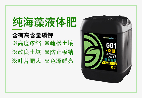 灞變笢嫻蜂箣鏄熻繘鍑哄彛鏈夐檺鍏徃璇︽儏欏?_03.jpg 灞變笢嫻蜂箣鏄熻繘鍑哄彛鏈夐檺鍏徃璇︽儏欏?_03.jpg