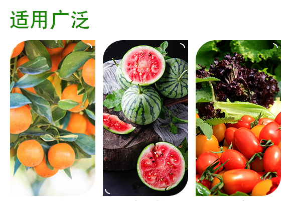 灞變笢嫻蜂箣鏄熻繘鍑哄彛鏈夐檺鍏徃璇︽儏欏?_04.jpg 灞變笢嫻蜂箣鏄熻繘鍑哄彛鏈夐檺鍏徃璇︽儏欏?_04.jpg