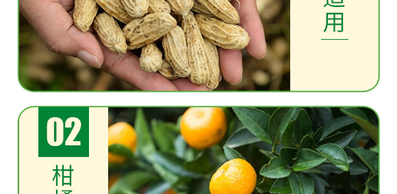 糖醇硼-葉菲微補(bǔ)-德邦葉菲 糖醇硼-葉菲微補(bǔ)-德邦葉菲