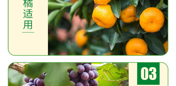 糖醇硼-葉菲微補(bǔ)-德邦葉菲 糖醇硼-葉菲微補(bǔ)-德邦葉菲