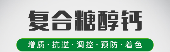 復(fù)合糖醇鈣-葉菲中補(bǔ)-德邦葉菲 復(fù)合糖醇鈣-葉菲中補(bǔ)-德邦葉菲