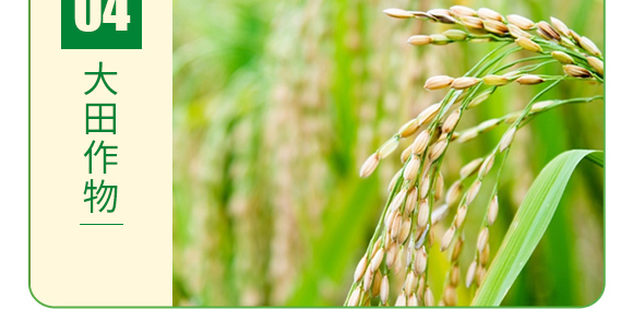 復(fù)合糖醇鈣-葉菲中補(bǔ)-德邦葉菲 復(fù)合糖醇鈣-葉菲中補(bǔ)-德邦葉菲