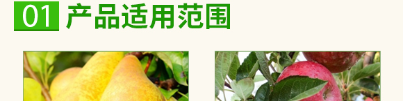 碳酶·海藻魚(yú)蛋白-春潮生物 碳酶·海藻魚(yú)蛋白-春潮生物