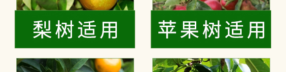 碳酶·海藻魚(yú)蛋白-春潮生物 碳酶·海藻魚(yú)蛋白-春潮生物