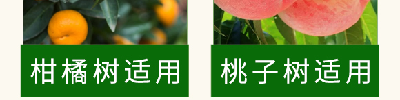 碳酶·海藻魚(yú)蛋白-春潮生物 碳酶·海藻魚(yú)蛋白-春潮生物