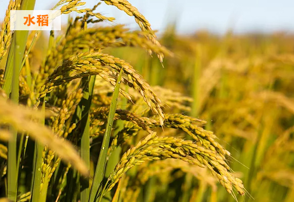 姘寸ɑ涓撶敤鍑ぉ鍔?鐡剁洅-緇夸笟鍏僟04.jpg 姘寸ɑ涓撶敤鍑ぉ鍔?鐡剁洅-緇夸笟鍏僟04.jpg