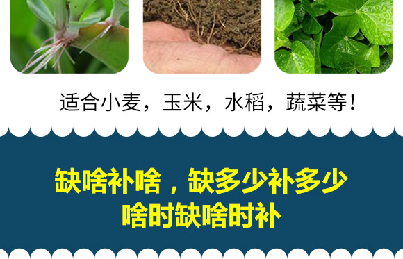 植物营养?水立丰_10.jpg
