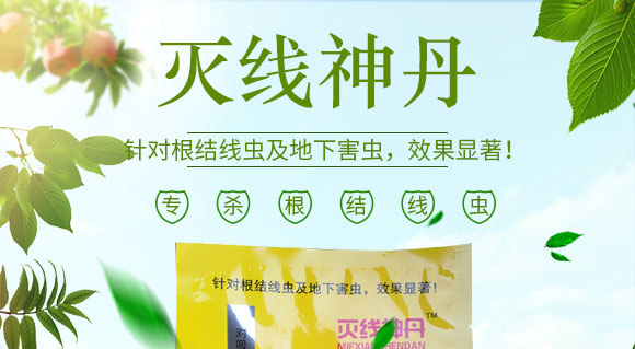 鍗椾含閲戝悏涔嬫槦鍐滀笟縐戞妧鏈夐檺鍏徃2_01.jpg 鍗椾含閲戝悏涔嬫槦鍐滀笟縐戞妧鏈夐檺鍏徃2_01.jpg