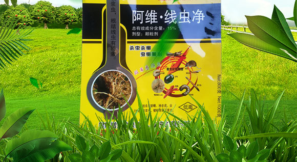 鍗椾含閲戝悏涔嬫槦鍐滀笟縐戞妧鏈夐檺鍏徃2_02.jpg 鍗椾含閲戝悏涔嬫槦鍐滀笟縐戞妧鏈夐檺鍏徃2_02.jpg