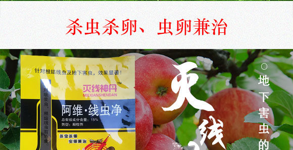 鍗椾含閲戝悏涔嬫槦鍐滀笟縐戞妧鏈夐檺鍏徃2_03.jpg 鍗椾含閲戝悏涔嬫槦鍐滀笟縐戞妧鏈夐檺鍏徃2_03.jpg