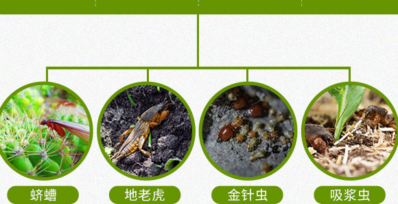 鍗椾含閲戝悏涔嬫槦鍐滀笟縐戞妧鏈夐檺鍏徃2_05.jpg 鍗椾含閲戝悏涔嬫槦鍐滀笟縐戞妧鏈夐檺鍏徃2_05.jpg