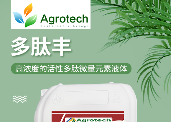 鍩冨強(qiáng)鑹炬牸娉板厠鍥介檯鍐滀笟寮€鍙戞妧鏈泦鍥㈡湁闄愬叕鍙竉01.jpg 鍩冨強(qiáng)鑹炬牸娉板厠鍥介檯鍐滀笟寮€鍙戞妧鏈泦鍥㈡湁闄愬叕鍙竉01.jpg