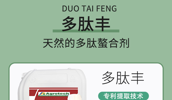 鍩冨強(qiáng)鑹炬牸娉板厠鍥介檯鍐滀笟寮€鍙戞妧鏈泦鍥㈡湁闄愬叕鍙竉06.jpg 鍩冨強(qiáng)鑹炬牸娉板厠鍥介檯鍐滀笟寮€鍙戞妧鏈泦鍥㈡湁闄愬叕鍙竉06.jpg