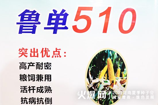 聚焦展會(huì),掘金市場(chǎng)!2021河南夏季種子會(huì),安徽華成期待您的蒞臨! 聚焦展會(huì),掘金市場(chǎng)!2021河南夏季種子會(huì),安徽華成期待您的蒞臨!