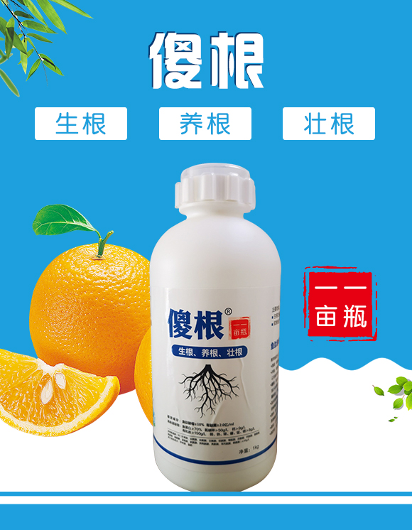 瀵垮厜甯?jìng)鐢熸佽偉鏂欑鎶涓績(jī)-鐢熸牴鍓?鍌繪牴_01.jpg 瀵垮厜甯?jìng)鐢熸佽偉鏂欑鎶涓績(jī)-鐢熸牴鍓?鍌繪牴_01.jpg