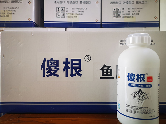 鏈爣棰?3.jpg 鏈爣棰?3.jpg