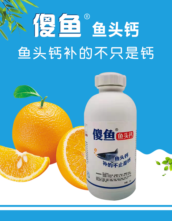 瀵垮厜甯?jìng)鐢熸佽偉鏂欑鎶涓績(jī)-楸煎ご閽?鍌婚奔_01.jpg 瀵垮厜甯?jìng)鐢熸佽偉鏂欑鎶涓績(jī)-楸煎ご閽?鍌婚奔_01.jpg