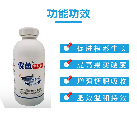 瀵垮厜甯?jìng)鐢熸佽偉鏂欑鎶涓績(jī)-楸煎ご閽?鍌婚奔_02.jpg 瀵垮厜甯?jìng)鐢熸佽偉鏂欑鎶涓績(jī)-楸煎ご閽?鍌婚奔_02.jpg